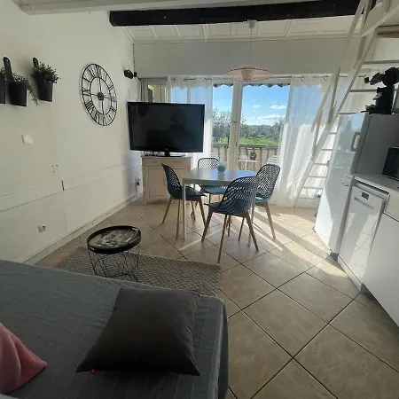 Le Golfe - Ile Des Loisirs - Clim - Piscine - Luna Park *