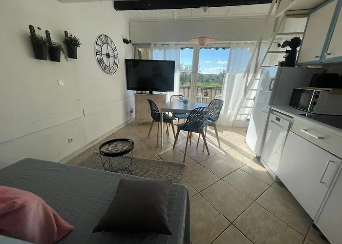 Le Golfe - Ile Des Loisirs - Clim - Piscine - Luna Park *